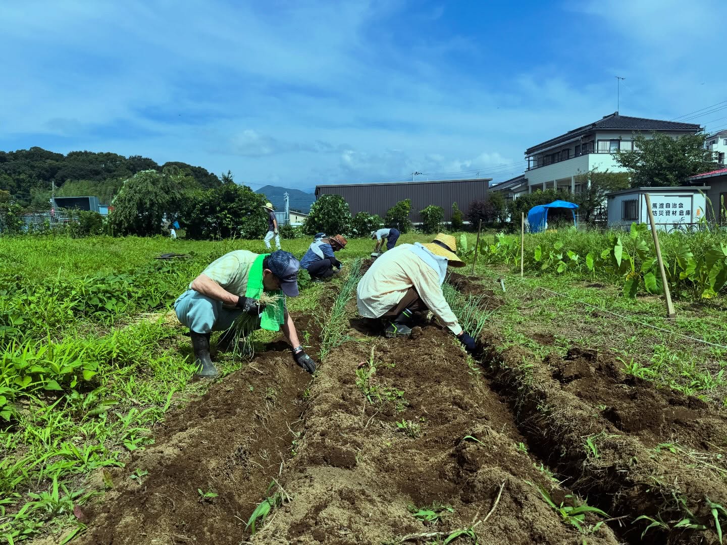 昨日は自治会の皆さんと一緒に農作業に参加してきました🌱
枝豆の収穫、長ネギの苗植え、じゃがいも掘りと盛りだくさん!
地域の皆さんに教えていただきながら、楽しく貴重な時間を過ごすことができました😊
息子はというと…畑よりも夢中だったのはトンボ。
畑の中を元気いっぱい走り回っていました(笑)
こうした地域のつながりや自然に触れる機会は、大人にとっても子どもにとっても本当に大切だと改めて感じました。
次回も頑張ります!
#伊勢原
#伊勢原市